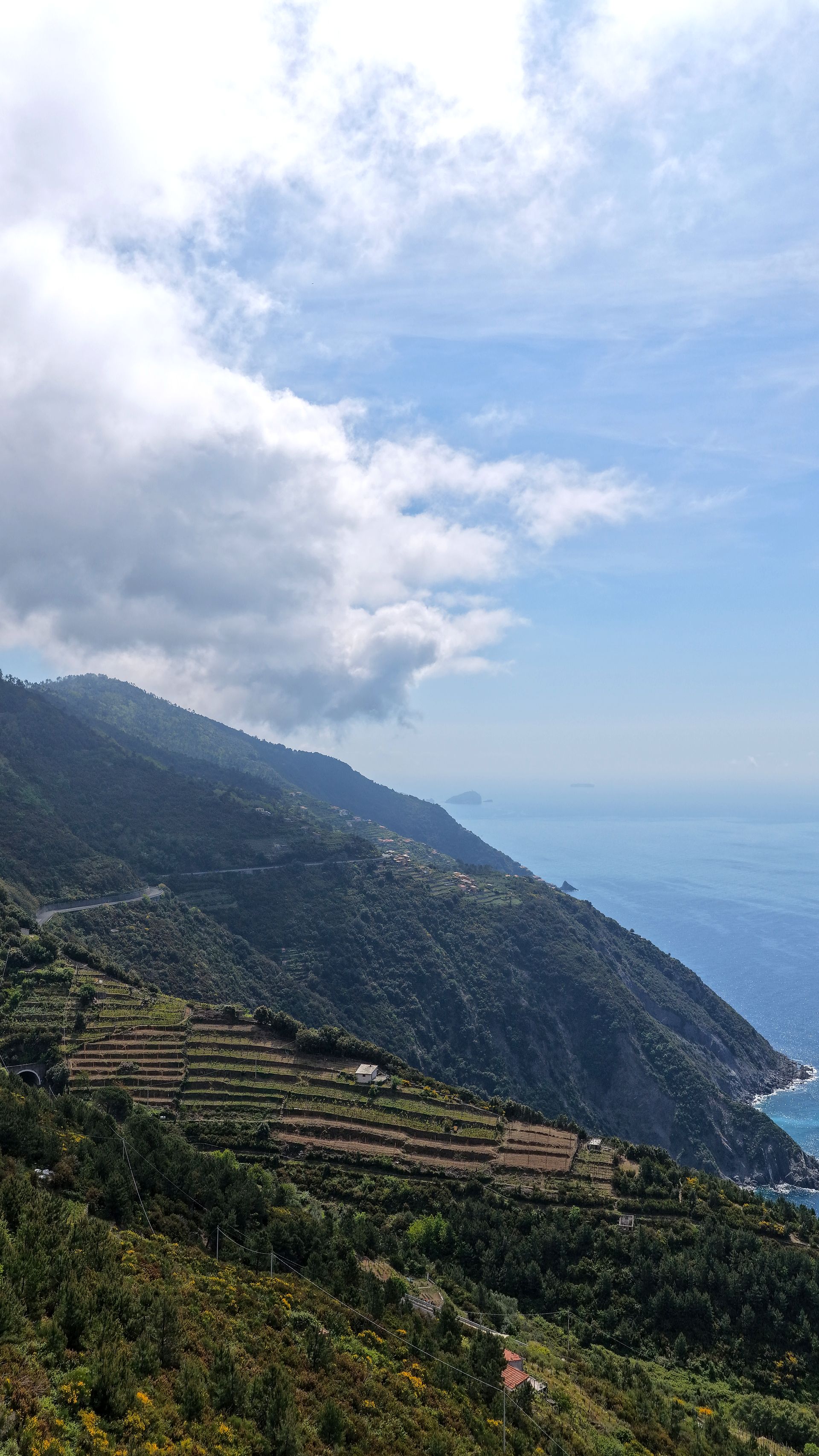 Vigneti sul Mare — fotografia aerea con drone, Tramonti